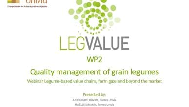 Quality management of grain legumes