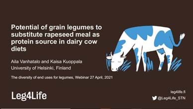 Potential of grain legumes to substitute rapeseed meal as protein source in dairy cow diets