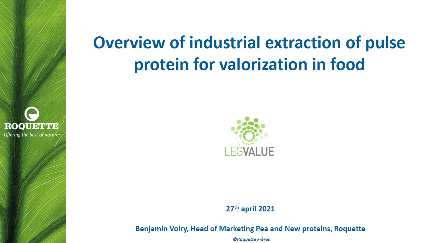 Overview of industrial extraction of pulse protein for valorization in food