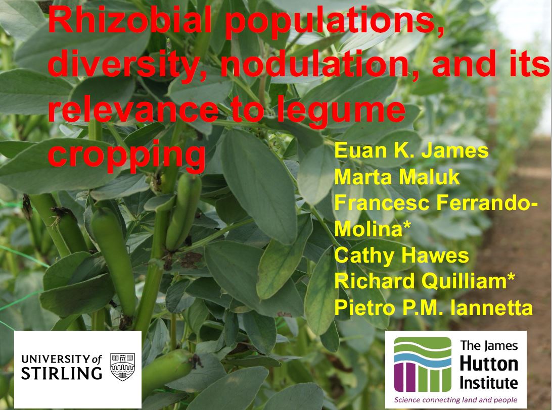 Rhizobial populations, diversity, nodulation, and its relevance to legume cropping