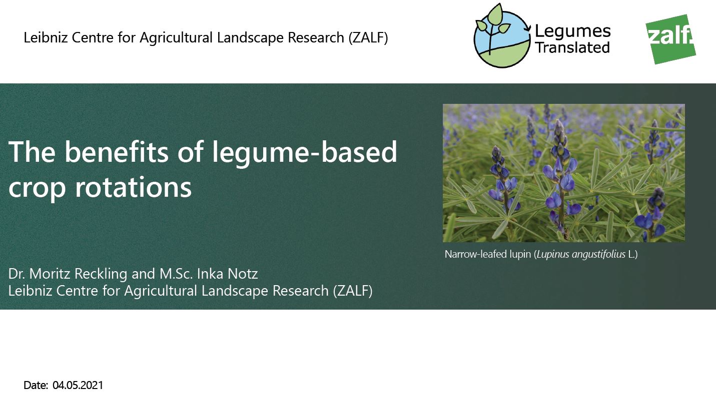 The benefits of legume-based crop rotations.