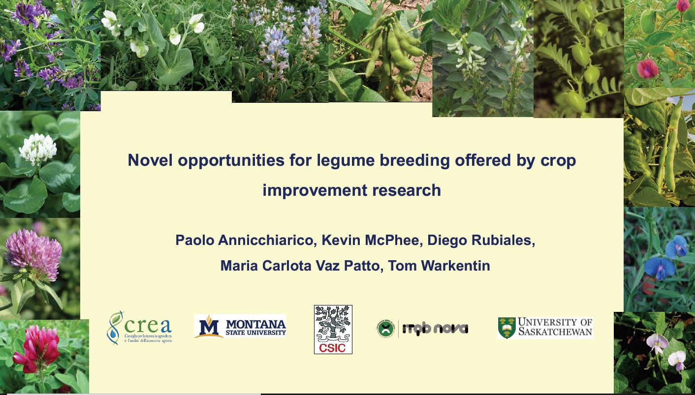 Novel opportunities for legume breeding offered by crop improvement research