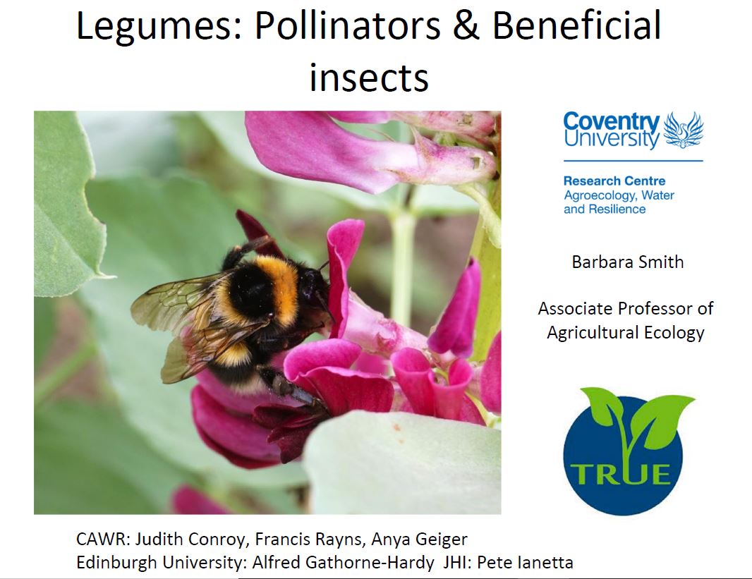Legumes Pollinators and Beneficial Insects