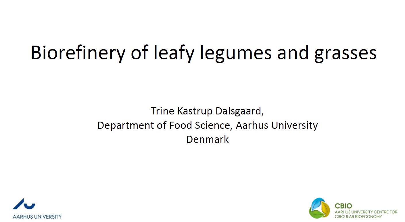 Biorefinery of leafy legumes