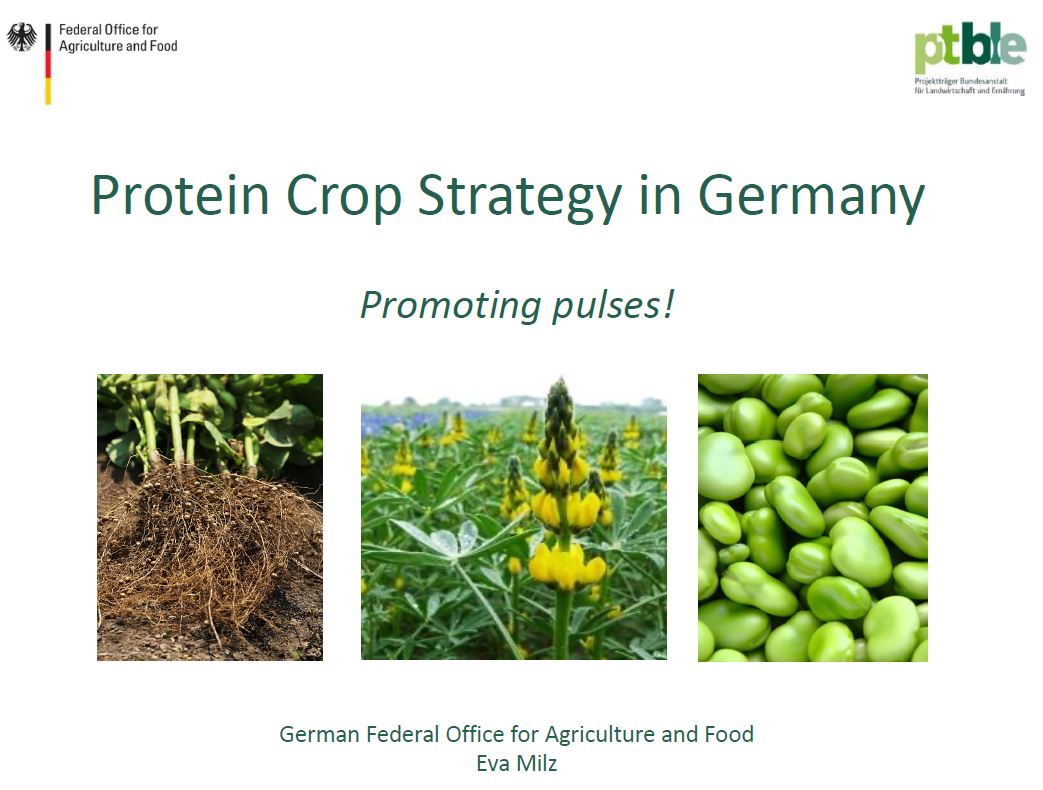 Protein crop strategy in Germany
