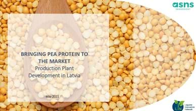 "Bringing pea protein to the market"