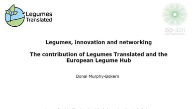 Legumes, innovation and networking: