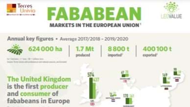 The EU Market for Faba beans