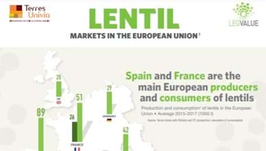 The EU market for Lentils