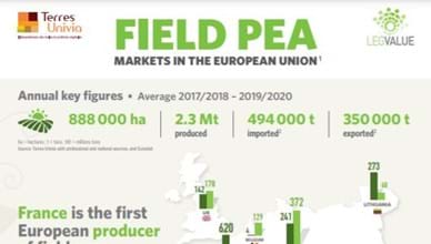 The EU Market for Peas