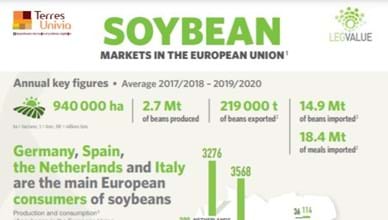 The EU market for Soya bean