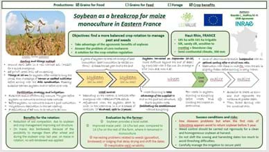 Describing legume success stories in the EU: part 1 France