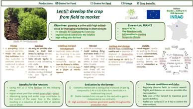 Describing legume success stories in the EU: part 3 -  France