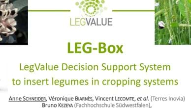 LegBox - a transnational decision support system concept